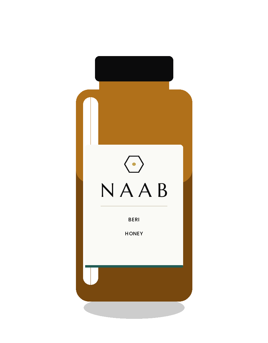 Demo NAAB product